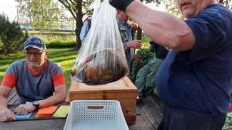 Kuvia Kolhoviikon 2021 onkikilpailuista Ukonselällä